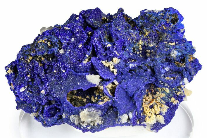 Cerussite Crystals on Sparkling Azurite - Congo #368227